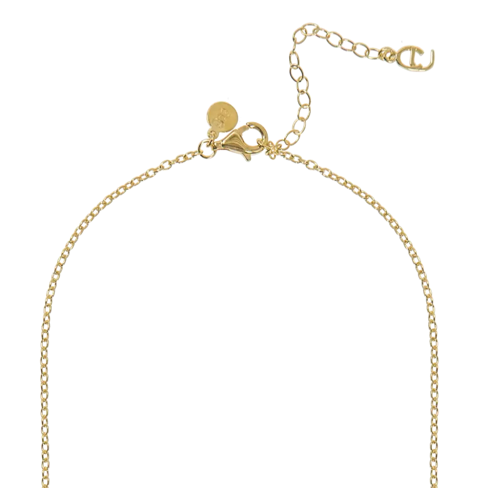 Dream big lucky charm neck gilver