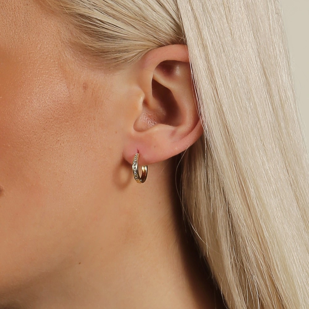 Elaine small ring ear g/clear