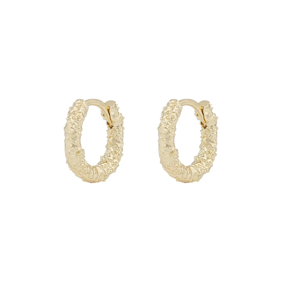 Gisele small ring ear plain g
