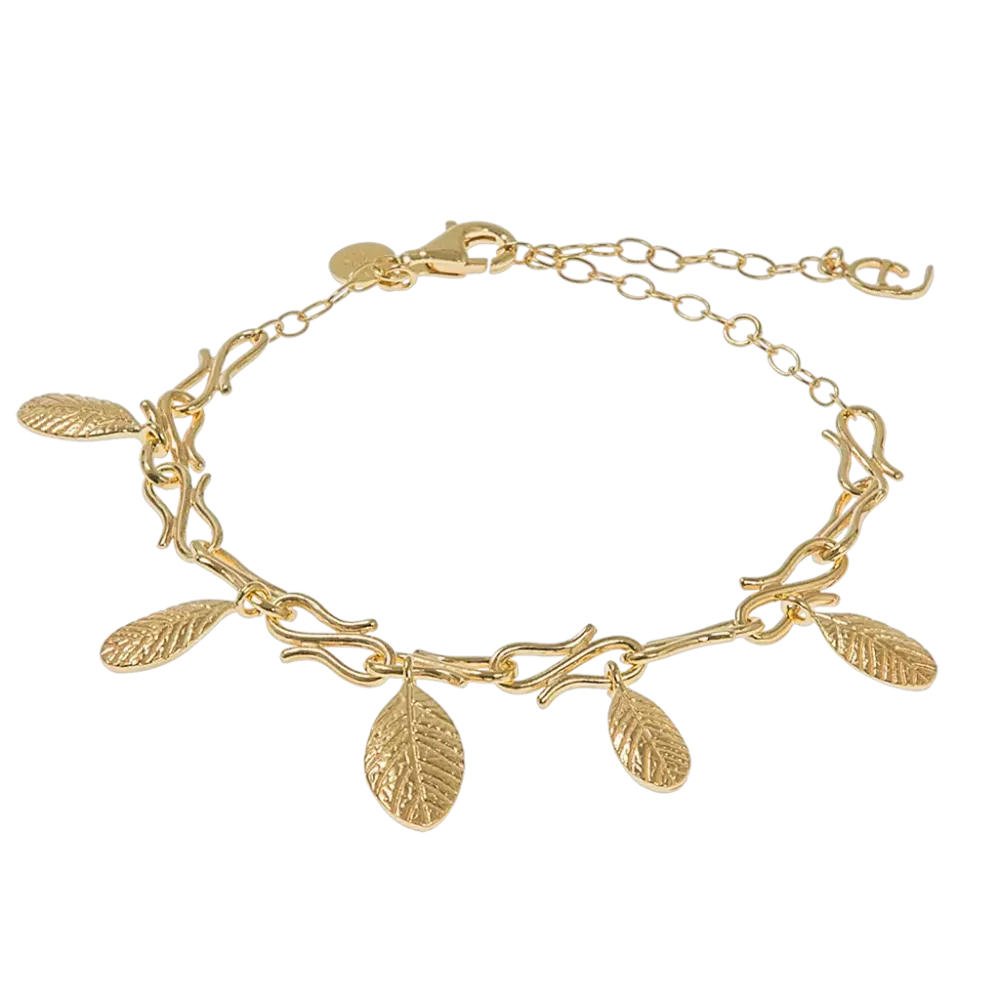 Lingonberry brace gilver