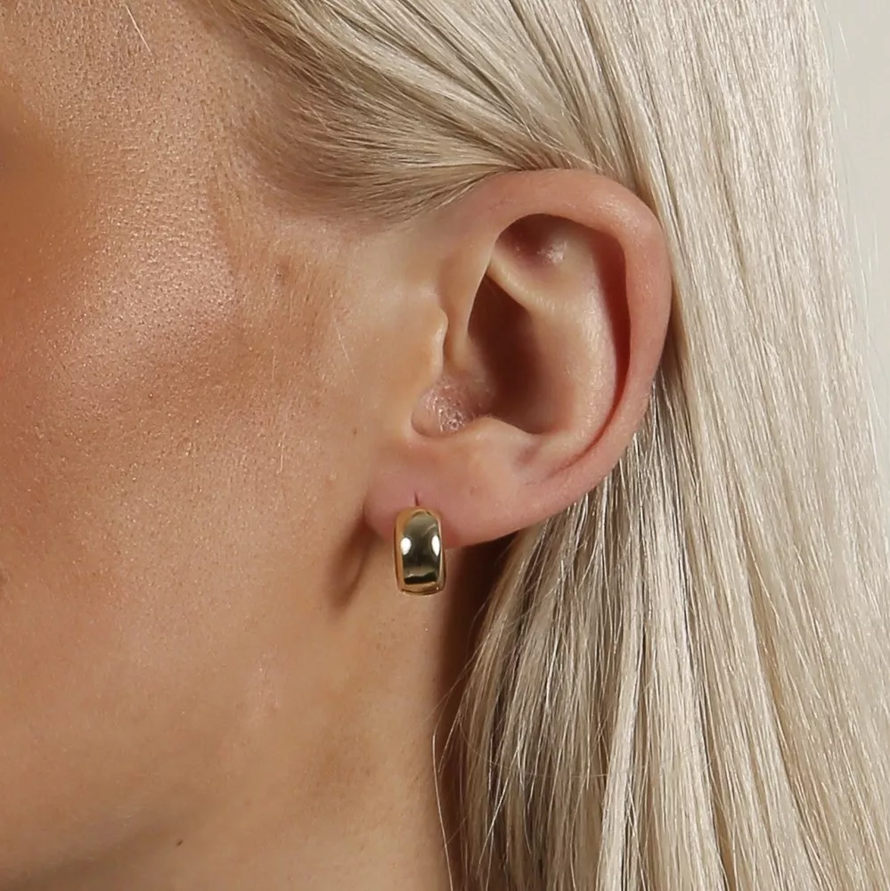 Nine small ring ear plain g