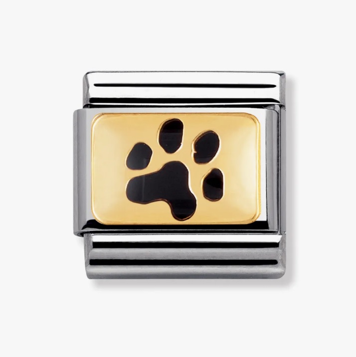 NOMINATION Black Paw