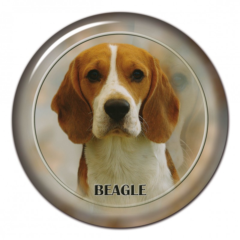 Dekaler med Beagle