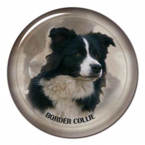 Dekaler med Border Collie