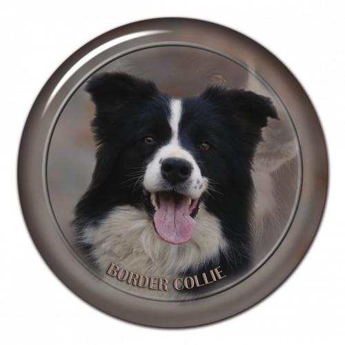 Dekaler med Border Collie