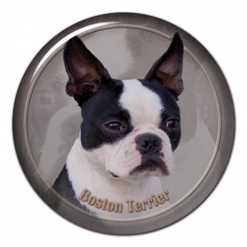 Dekaler med Bostonterrier