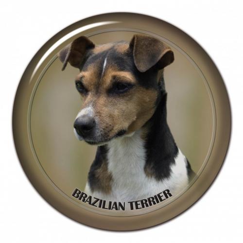 Dekaler med Terrier Brasileiro
