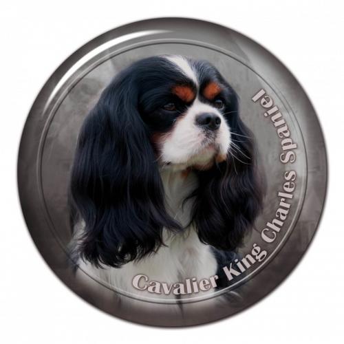 Dekaler med Cavalier King Charles Spaniel