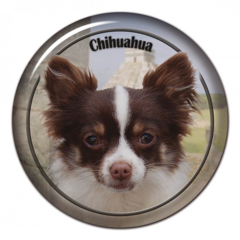 Dekaler med Chihuahua