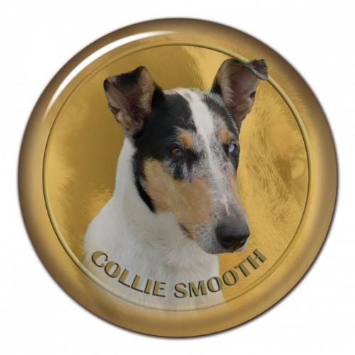 Dekaler med Korthårig Collie