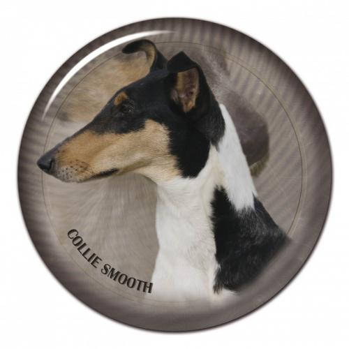 Dekaler med Korthårig Collie