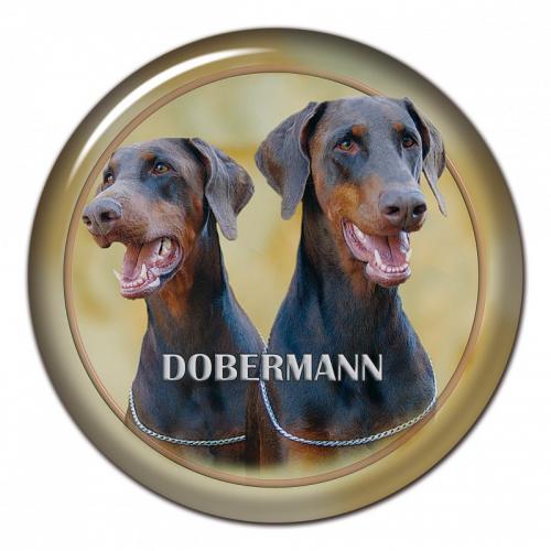 Dekaler med Dobermann
