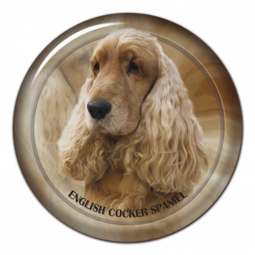 Dekaler med Cocker Spaniel