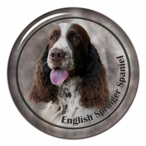 Dekaler med Engelsk Springer Spaniel