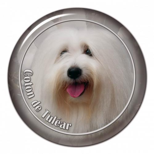 Dekaler med Coton de Tulear