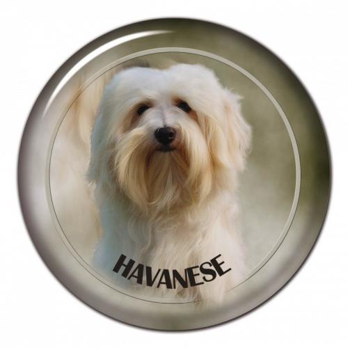 Dekaler med Bichon Havanese