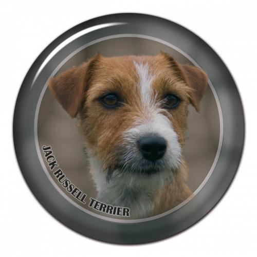 Dekaler med Jack Russel Terrier