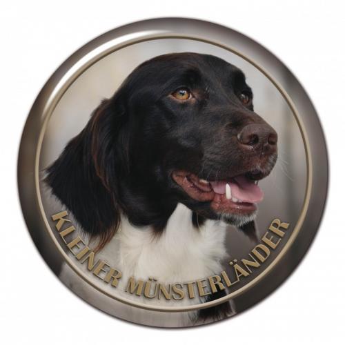 Dekaler med Kleiner Münsterländer