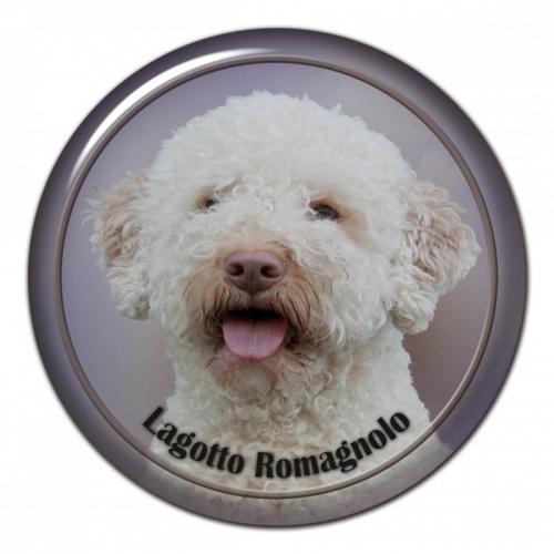 Dekaler med Lagotto Romagnolo