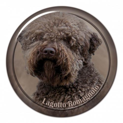 Dekaler med Lagotto Romagnolo