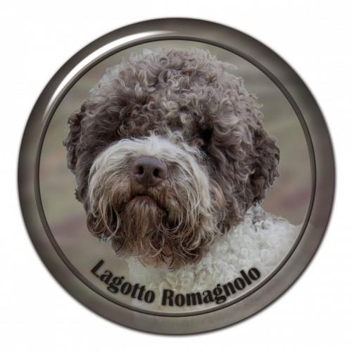 Dekaler med Lagotto Romagnolo