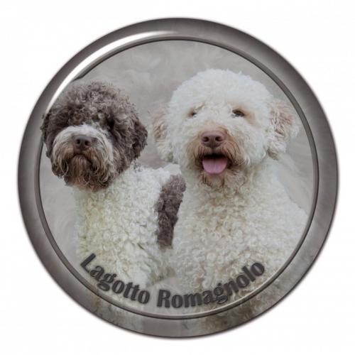 Dekaler med Lagotto Romagnolo