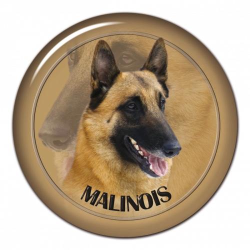 Dekaler med Belgisk Vallhund Malinois