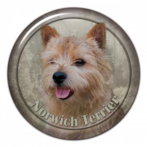 Dekaler med Norwichterrier