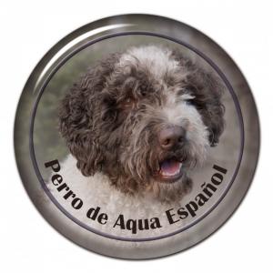 Dekaler med Perro de Agua Espanol