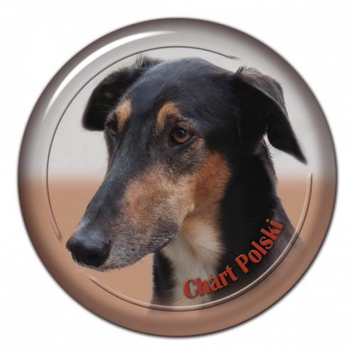 Dekaler med Chart Polski