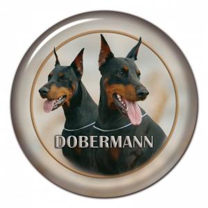 Dekaler med Dobermann