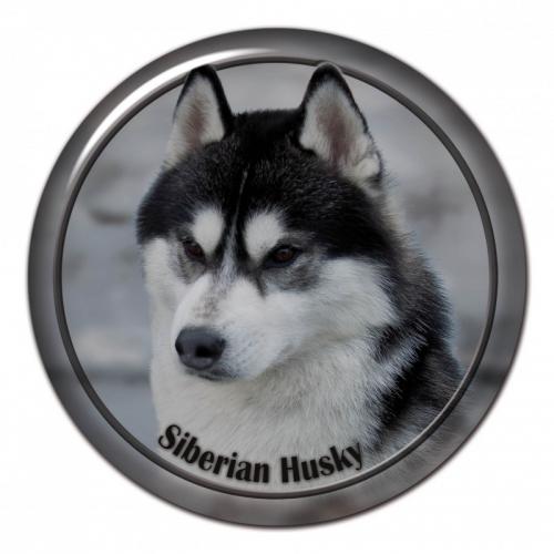Dekaler med Siberian Husky