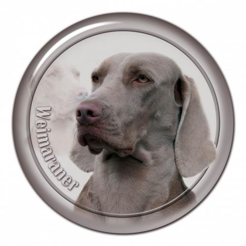 Dekaler med Weimaraner