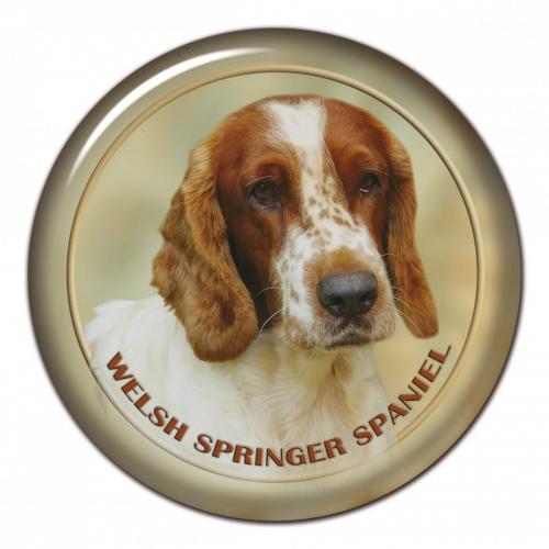 Dekaler med Welsh Springer Spaniel