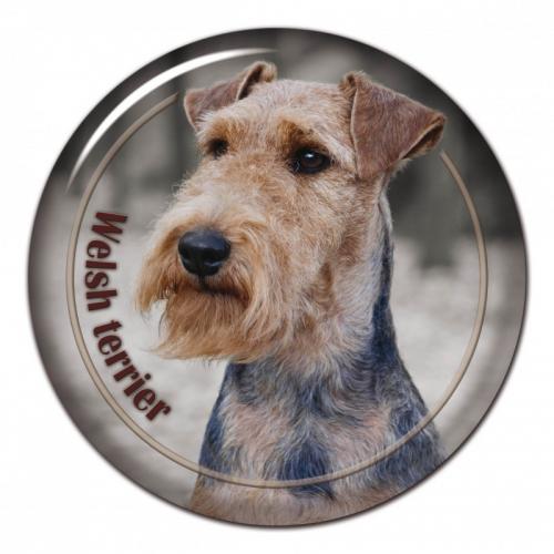 Dekaler med Welshterrier