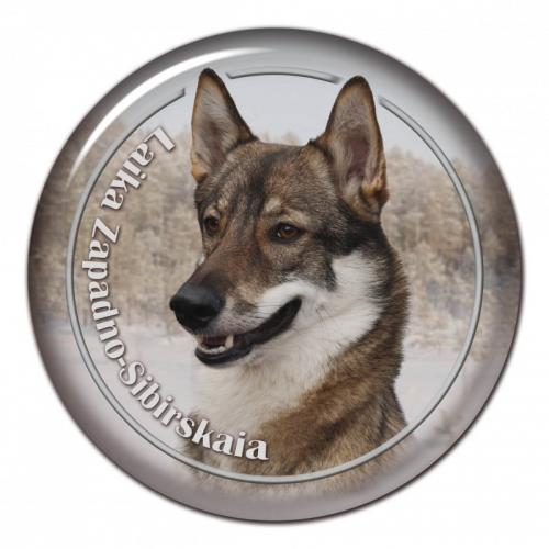 Dekaler med Västsibirisk Lajka