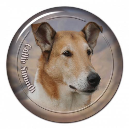 Dekaler med Korthårig Collie