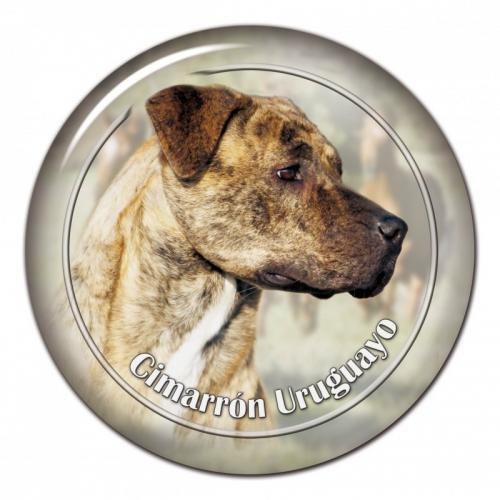 Dekaler med Cimarron Uruguayo