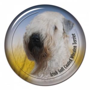 Dekaler med Irish Softcoated Wheaten Terrier