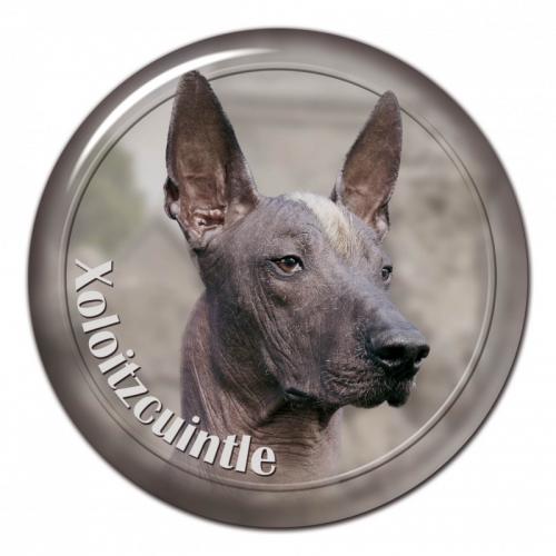 Dekaler med Xoloitzcuintle