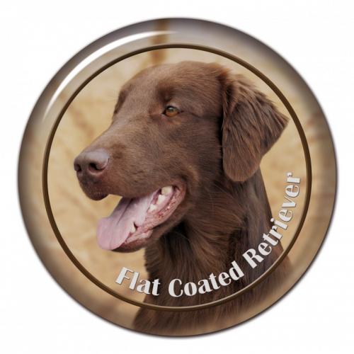 Dekaler med Flatcoated Retriever
