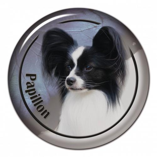 Dekaler med Papillon