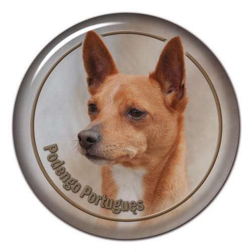 Dekaler med Podengo Portugues