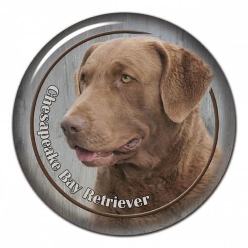 Dekaler med Chesapeake Bay Retriever