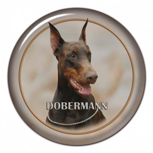 Dekaler med Dobermann