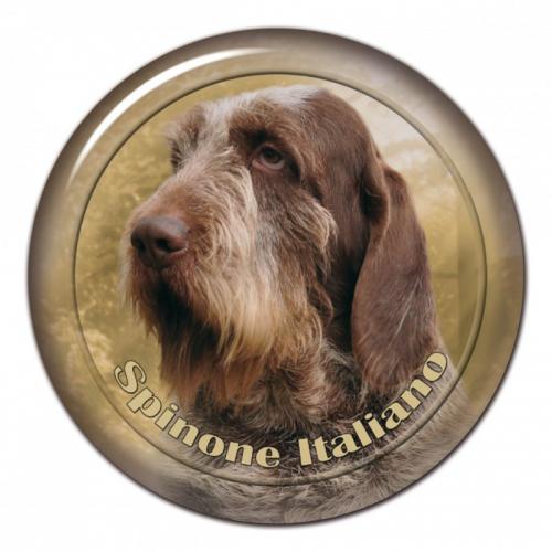 Dekaler med Spinone