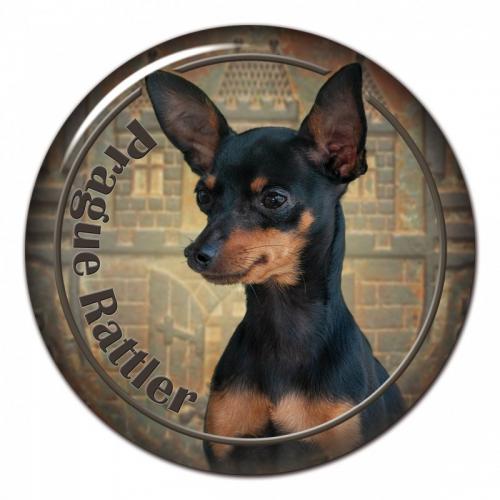 Dekaler med Prazsky Krysarik