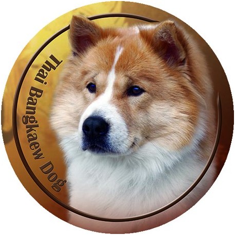 Dekaler med Thai Bangkaew Dog