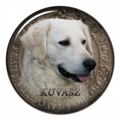 Dekaler med Kuvasz