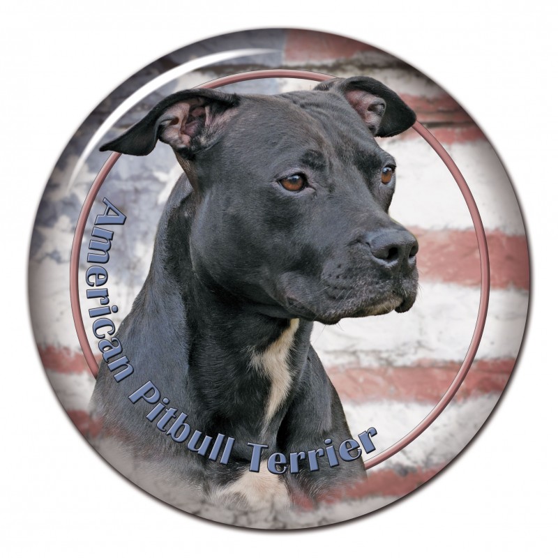 Dekaler med American Pit Bull Terrier